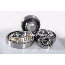 55X100X21mm NJ Brass body cylindrical roller bearing NJ211EM